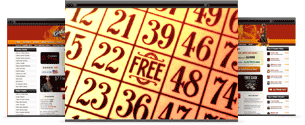 Online Bingo Sites