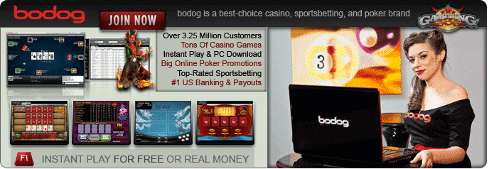 Bodog