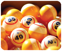 bingo sites